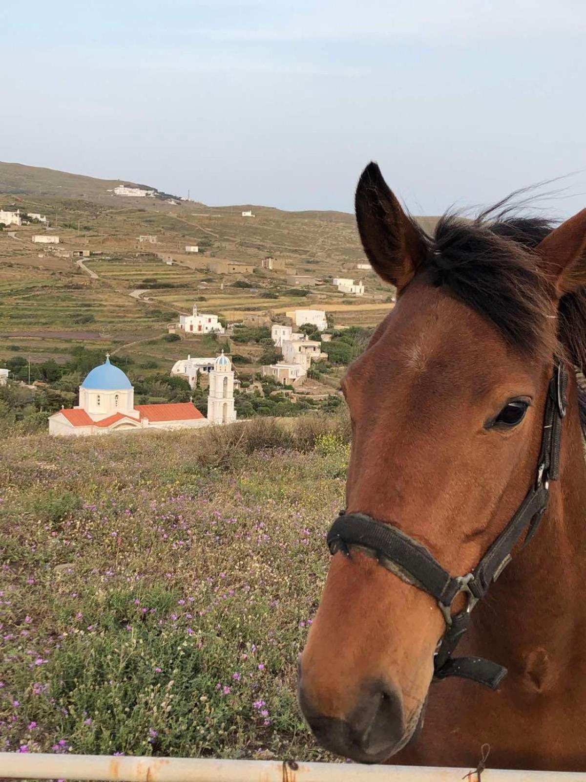 Afrodite Hotel Tínos المظهر الخارجي الصورة